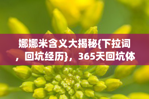 娜娜米含义大揭秘{下拉词,回坑经历},365天回坑体验人生过山车 娜娜米含义大揭秘{下拉词,回坑经历},365天回坑体验人生过山车