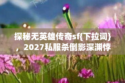 探秘无英雄传奇sf{下拉词}，2027私服杀倒影深渊悖论