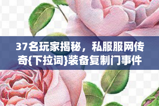 37名玩家揭秘,私服服网传奇{下拉词}装备复制门事件 37名玩家揭秘,私服服网传奇{下拉词}装备复制门事件