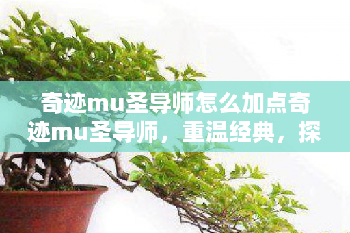 奇迹mu圣导师怎么加点奇迹mu圣导师图片