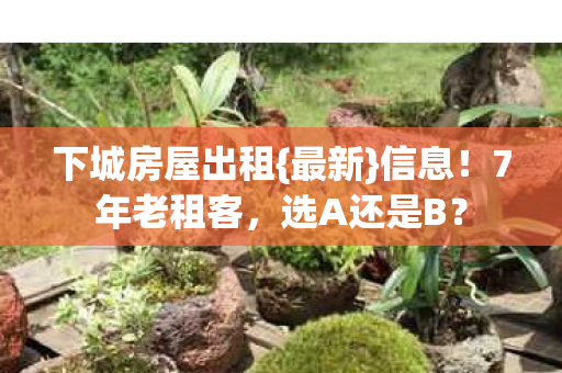 下城房屋出租{最新}信息!7年老租客,选A还是B? 下城房屋出租{最新}信息!7年老租客,选A还是B?