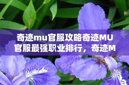 奇迹mu官服攻略奇迹MU官服最强职业排行图片