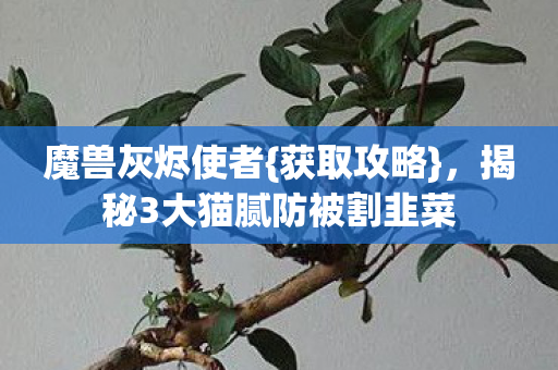 魔兽灰烬使者{获取攻略},揭秘3大猫腻防被割韭菜 魔兽灰烬使者{获取攻略},揭秘3大猫腻防被割韭菜