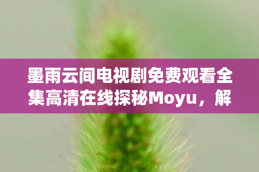 墨雨云间电视剧免费观看全集高清在线探秘Moyu图片