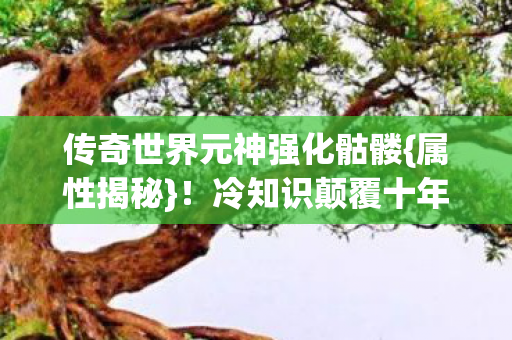 传奇世界元神强化骷髅图片