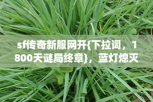1800天谜局终章图片