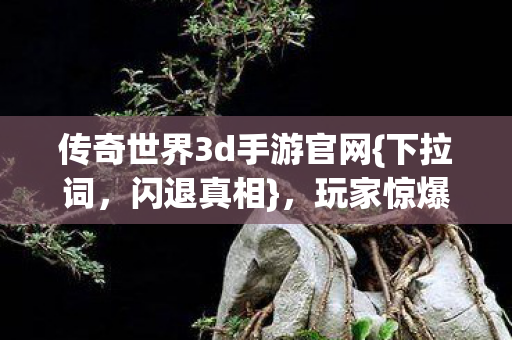 传奇世界3d手游官网图片