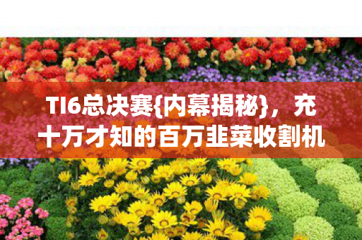 TI6总决赛{内幕揭秘},充十万才知的百万韭菜收割机 TI6总决赛{内幕揭秘},充十万才知的百万韭菜收割机