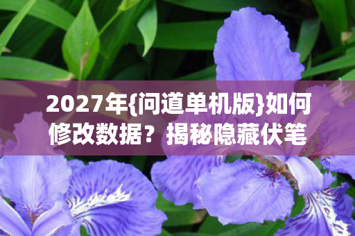 2027年{问道单机版}如何修改数据?揭秘隐藏伏笔 2027年{问道单机版}如何修改数据?揭秘隐藏伏笔