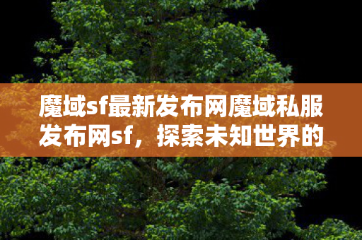 魔域sf最新发布网魔域私服发布网sf图片