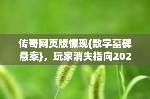 玩家消失指向2027年图片