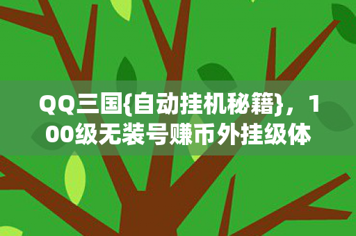 QQ三国{自动挂机秘籍},100级无装号赚币外挂级体验 QQ三国{自动挂机秘籍},100级无装号赚币外挂级体验