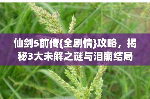 仙剑5前传{全剧情}攻略,揭秘3大未解之谜与泪崩结局 仙剑5前传{全剧情}攻略,揭秘3大未解之谜与泪崩结局