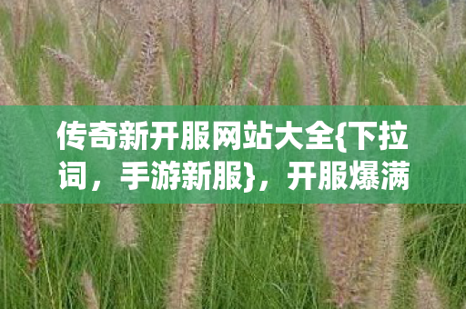 传奇新开服网站大全图片