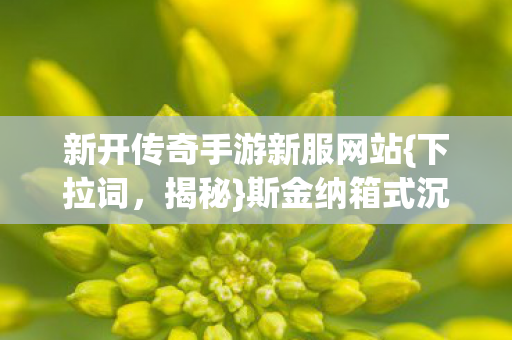 新开传奇手游新服网站图片