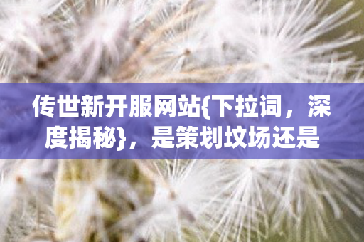 是策划坟场还是玩家归途图片