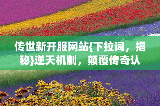 传世新开服网站图片