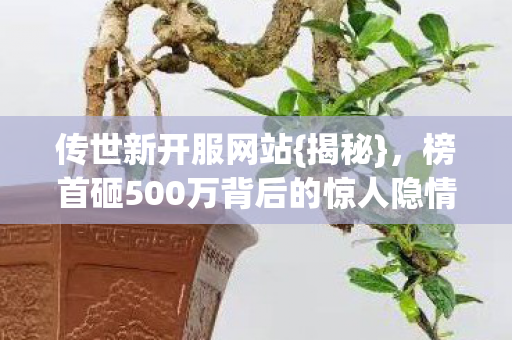 榜首砸500万背后的惊人隐情图片