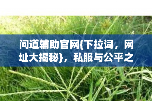 问道辅助官网{下拉词，网址大揭秘}，私服与公平之争谁主沉浮？