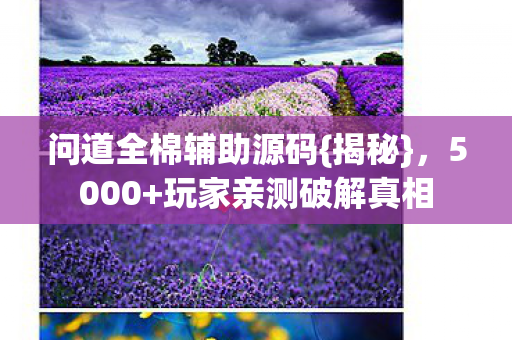 问道全棉辅助源码{揭秘}，5000+玩家亲测破解真相