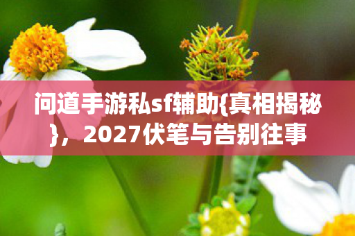 问道手游私sf辅助{真相揭秘}，2027伏笔与告别往事