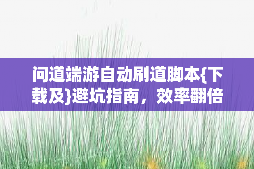 问道端游自动刷道脚本{下载及}避坑指南,效率翻倍真相 问道端游自动刷道脚本{下载及}避坑指南,效率翻倍真相