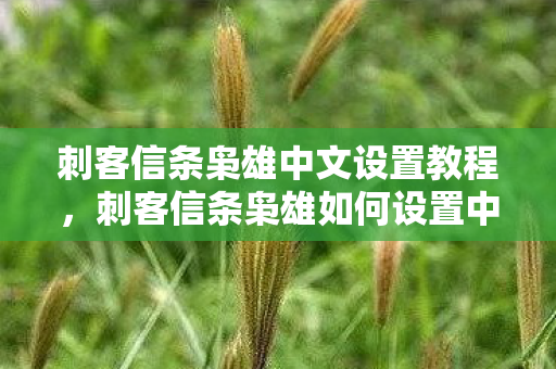 刺客信条枭雄中文设置教程图片