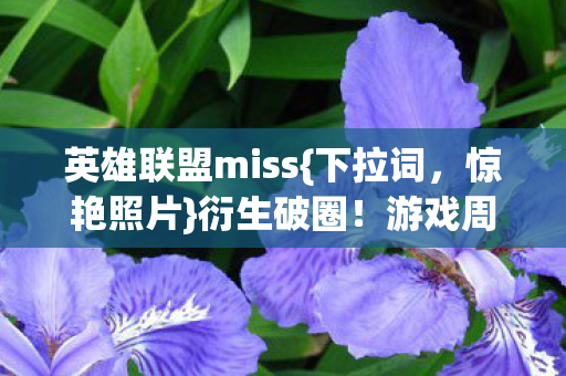 英雄联盟miss{下拉词,惊艳照片}衍生破圈!游戏周边狂魔败家记 英雄联盟miss{下拉词,惊艳照片}衍生破圈!游戏周边狂魔败家记