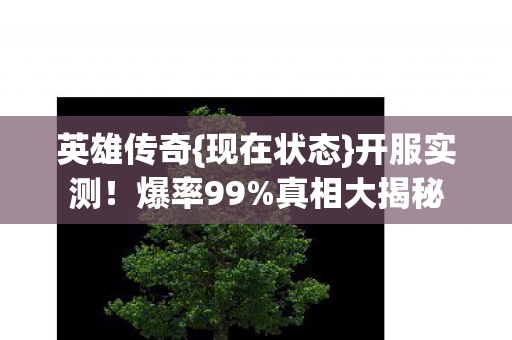 英雄传奇{现在状态}开服实测!爆率99%真相大揭秘 英雄传奇{现在状态}开服实测!爆率99%真相大揭秘