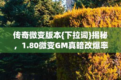 传奇微变版本{下拉词}揭秘,1.80微变GM真暗改爆率? 传奇微变版本{下拉词}揭秘,1.80微变GM真暗改爆率?