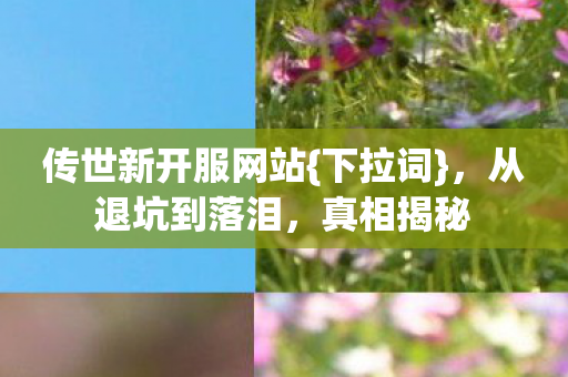 传世新开服网站图片