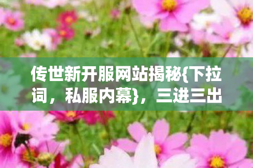 传世新开服网站揭秘图片