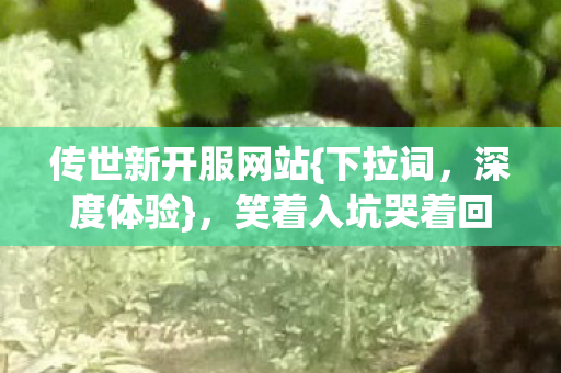 笑着入坑哭着回味图片