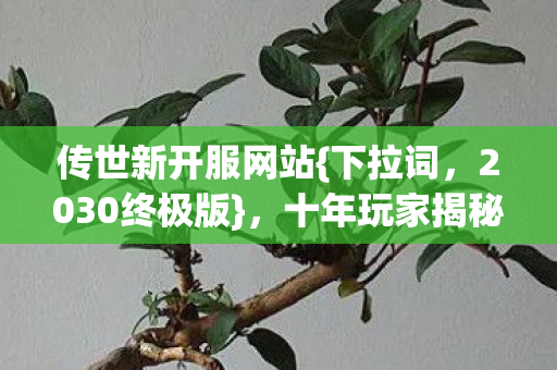 十年玩家揭秘颠覆玩法图片