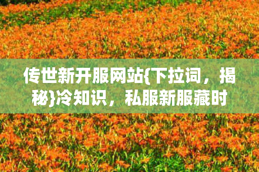 私服新服藏时间炸弹图片
