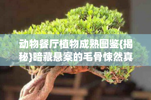 动物餐厅植物成熟图鉴{揭秘}暗藏悬案的毛骨悚然真相 动物餐厅植物成熟图鉴{揭秘}暗藏悬案的毛骨悚然真相