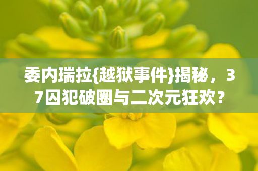 委内瑞拉{越狱事件}揭秘,37囚犯破圈与二次元狂欢? 委内瑞拉{越狱事件}揭秘,37囚犯破圈与二次元狂欢?