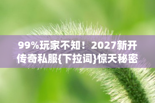 99%玩家不知!2027新开传奇私服{下拉词}惊天秘密曝光 99%玩家不知!2027新开传奇私服{下拉词}惊天秘密曝光