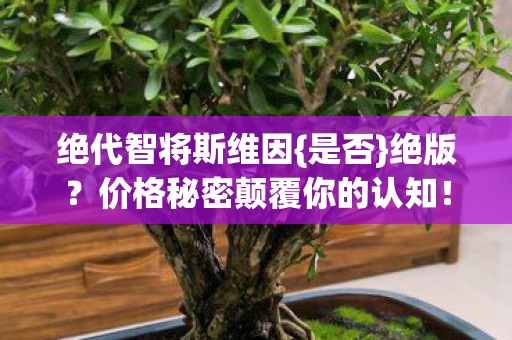 绝代智将斯维因{是否}绝版?价格秘密颠覆你的认知! 绝代智将斯维因{是否}绝版?价格秘密颠覆你的认知!