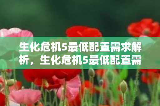 生化危机5最低配置需求解析,生化危机5最低配置需求全解析 生化危机5最低配置需求解析,生化危机5最低配置需求全解析