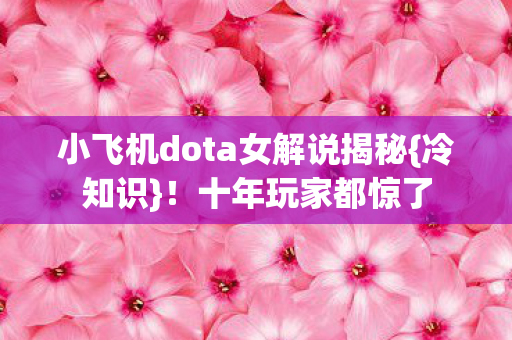 小飞机dota女解说揭秘{冷知识}！十年玩家都惊了