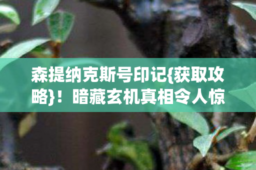 森提纳克斯号印记{获取攻略}!暗藏玄机真相令人惊 森提纳克斯号印记{获取攻略}!暗藏玄机真相令人惊