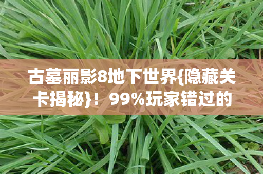 古墓丽影8地下世界{隐藏关卡揭秘}!99%玩家错过的震撼内容 古墓丽影8地下世界{隐藏关卡揭秘}!99%玩家错过的震撼内容