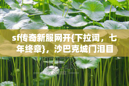 sf传奇新服网开{下拉词,七年终章},沙巴克城门泪目终启! sf传奇新服网开{下拉词,七年终章},沙巴克城门泪目终启!
