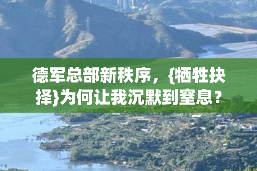 德军总部新秩序，{牺牲抉择}为何让我沉默到窒息？