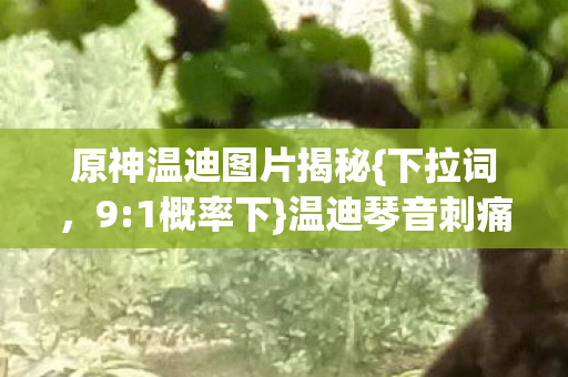原神温迪图片揭秘{下拉词,9:1概率下}温迪琴音刺痛孤独灵魂之因 原神温迪图片揭秘{下拉词,9:1概率下}温迪琴音刺痛孤独灵魂之因
