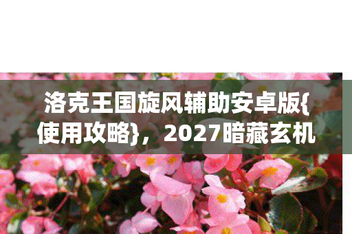 洛克王国旋风辅助安卓版{使用攻略},2027暗藏玄机揭秘 洛克王国旋风辅助安卓版{使用攻略},2027暗藏玄机揭秘