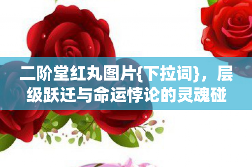 二阶堂红丸图片{下拉词},层级跃迁与命运悖论的灵魂碰撞 二阶堂红丸图片{下拉词},层级跃迁与命运悖论的灵魂碰撞