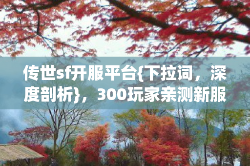 300玩家亲测新服真相图片
