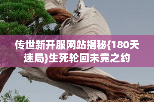 传世新开服网站揭秘图片